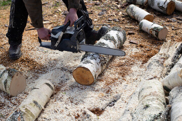 Man sawing a birch trunk with a chainsaw.