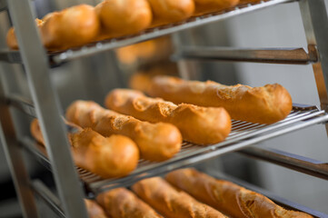 Multiple trays of baguettes fresh out of oven