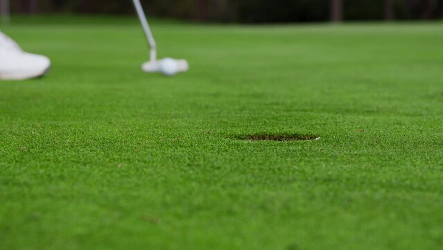 Close shot at ground level of a golfer on a carefully maintained putting green, the golfer putts the golf ball but misses the hole.