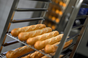French baguettes on tray at bakery