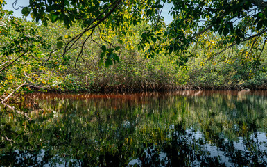 lake in the woods coral gables miami 