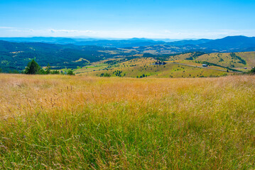 Zlatibor countryside in Serbia during a summer day