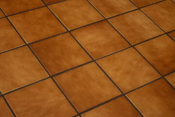 Square ceramic tiles of brown color and black lines.
