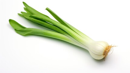 Fresh leek vegetable isolated on white background.
