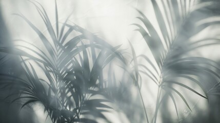 Blurred shadow of palm leaves on the wall generative ai