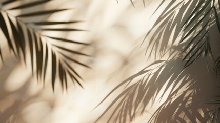 Obraz premium Blurred shadow of palm leaves on the wall generative ai