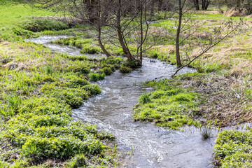 natürlicher Bachverlauf der Selke im Harz