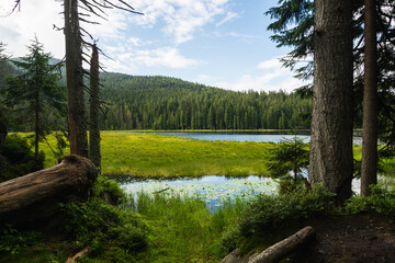Great Arber Lake in the Bavarian Forest