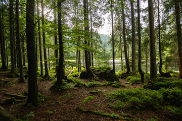 Great Arber Lake in the Bavarian Forest