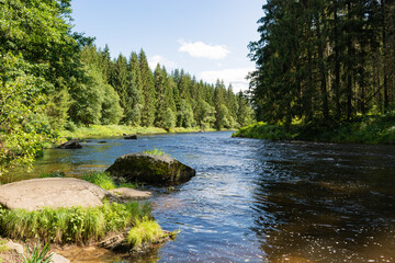 River Schwarzer Regen in the Bavarian Forest near the village of Böbrach