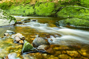 Naklejka na ściany i meble The creek Buchberger Leite in the Bavarian Forest