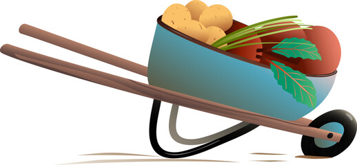 Wheelbarrow loaded with fresh organic vegetable produce. Horticulture and gardening cartoon, barrow or cart with potato and beetroot. Hand drawn vector clipart illustration in watercolor style.