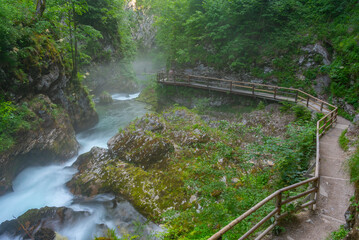 Vintgar gorge during a summer morning in Slovenia