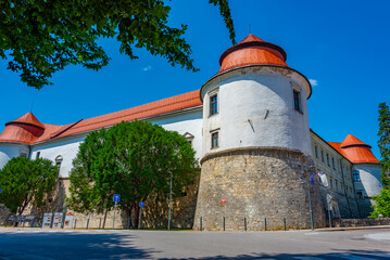 Brezice castle during a sunny day in Slovenia