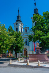 Four lions fountain and St. Nicholas Cathedral at Sremski Karlov