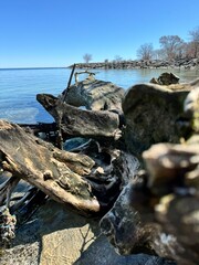 Tree fragments from water. Sea landscape with rocks. Blue sea water. Rocks under water