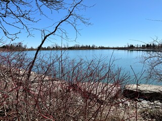 tree in the water. Tree fragments from water. Sea landscape with rocks. Blue sea water. Rocks under water