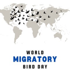 world migratory bird day poster template