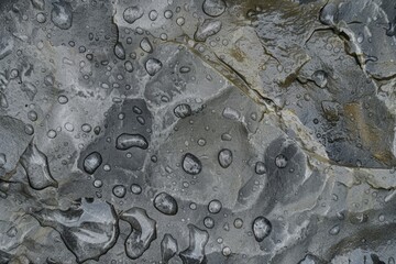 Close-up of crystal clear water droplets on a textured rock surface, reflecting light and creating a mesmerizing pattern