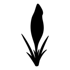 Vector crocus flower silhouette illustration, saffron floral silhouette drawing. Wildflower sketch. Hand drawn botanical outline art. Isolated design element for background, pattern, logo.