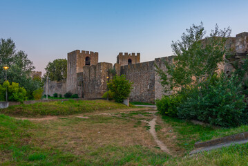 Fototapeta na wymiar Sunset view of Smederevo fortress in Serbia