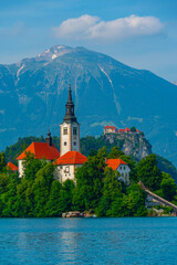 Fototapeta na wymiar Assumption of Maria church and Bled Castle at lake Bled in Slove