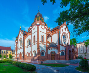Fototapeta na wymiar Subotica synagogue during a summer day in Serbia