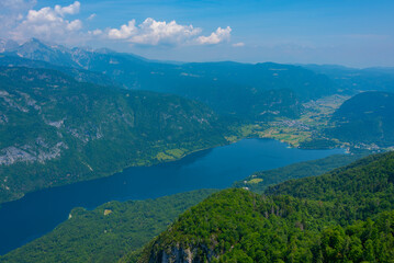 Fototapeta na wymiar Aerial view of lake Bohinj in Slovenia