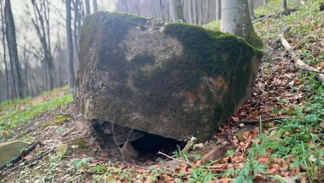 2 World War Arpad Line in the Carpathians -Hungary, now Ukraine. In the beech forest of Transcarpathia, old trenches and dugouts, reinforced concrete hexagonal small pillboxes with an embra