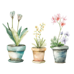 Vibrant potted flowers in watercolor. Hand-drawn vectors on white. Exquisite botanicals for bouquets, wreaths, arrangements, or chic wedding invites. - obrazy, fototapety, plakaty