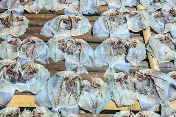 Dried salted fish in open space at Omadal island, an island mainly inhabited by sea Bajau.