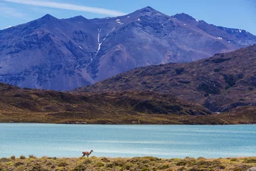 Zelfklevend Fotobehang Lake in Patagonia © Galyna Andrushko