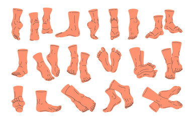 Human barefoot legs. Bare human feet in different poses, back, front, side feet view flat vector illustration set. Standing and walking legs