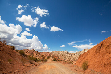 Ruta cuarenta