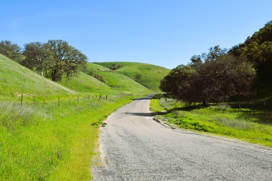 Winding Road Through Green Hills