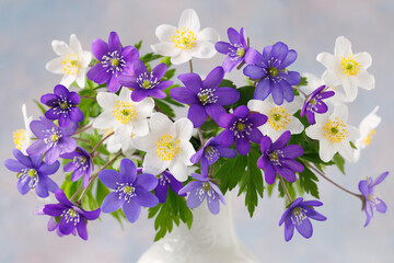 Spring flowers blue hepatica and white anemones in a vase, closeup, fragment. Beautiful card. - 780120406