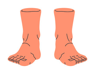 Standing legs. Human naked feet, barefoot legs in front view, bare pair of legs, male or female feet in standing position flat vector illustration. Hand drawn feet