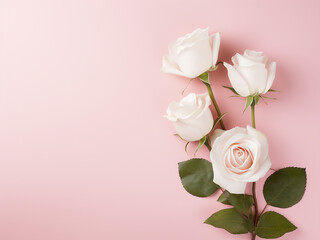 Top view of pink background embellished with white roses and buds