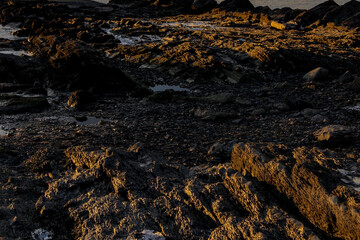 Hukodden Beach, Bygdøy peninsula, Norway