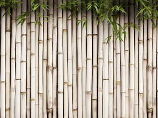 Background showcasing a texture of white bamboo fencing - obrazy, fototapety, plakaty