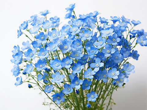 Close-up of lovely blue gypsophila flowers against a floral background