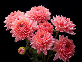 Chrysanthemum blossoms in a vase add elegance to a colored wall's backdrop