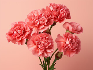 A burst of color unfolds as carnation flowers grace the background