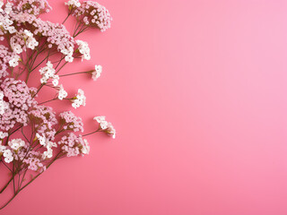 Fototapeta premium Pink serves as the backdrop for a charming flat lay floral composition with gypsophila
