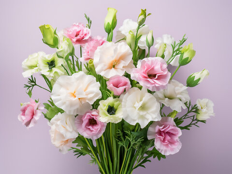 On a white backdrop, a bouquet of eustoma flowers boasts pink and white blooms