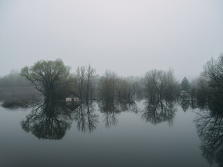 A foggy gloomy morning during the spring flood. Flooded trees and houses in the forest