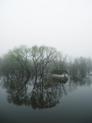 A foggy gloomy morning during the spring flood. Flooded trees and houses in the forest