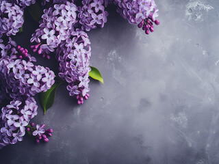 Lilac flowers flourish against a textured gray grunge background - obrazy, fototapety, plakaty