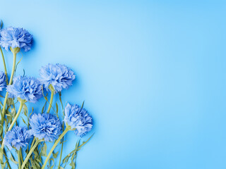 Summer vibes Blue cornflower border on azure backdrop, top view, copy space