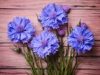 Blue cornflowers stand out against the old pink wooden backdrop - obrazy, fototapety, plakaty